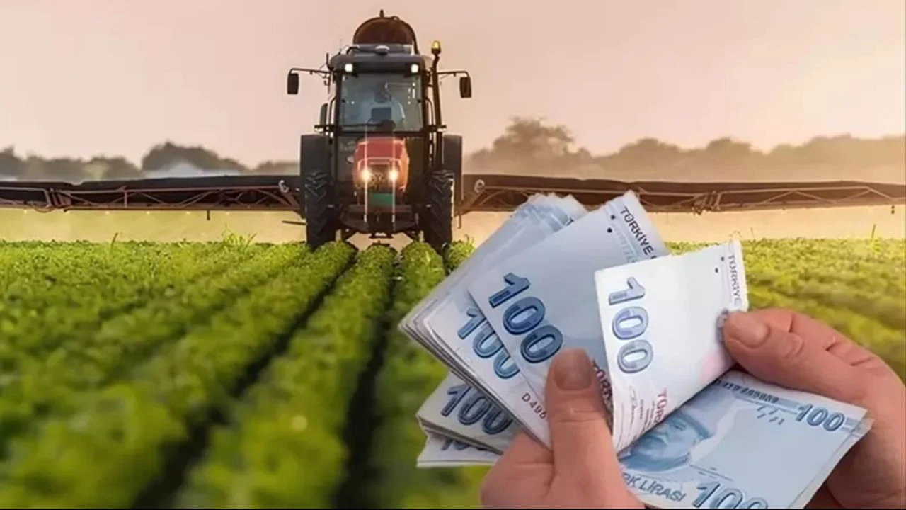 Türkiye'de Güncel Tarımsal Destekler ve Teşvikler (Genel Bilgi)