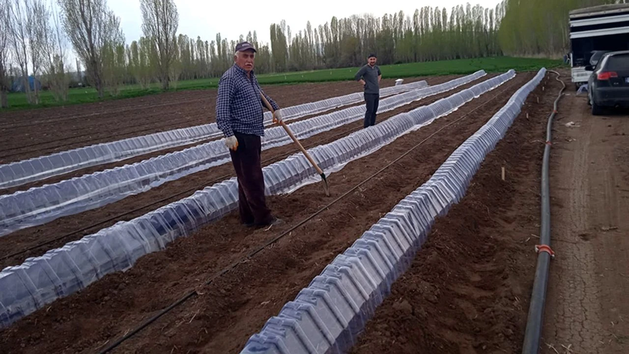Çorum'da çiftçiler için devrim niteliğinde ürün geliştirildi