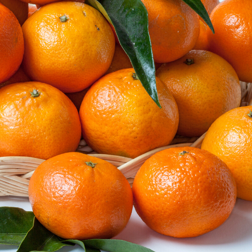 Mandalina (nova)